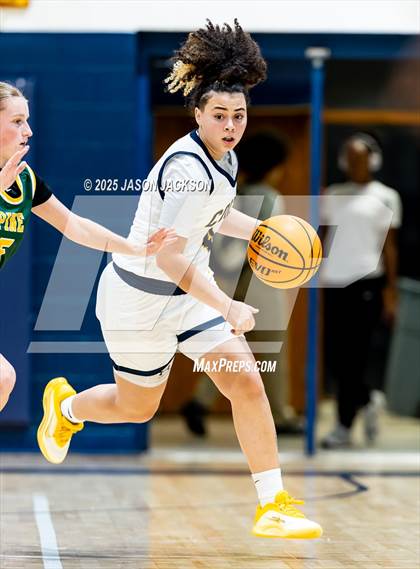 Thumbnail 3 in Pine Forest @ Cape Fear photogallery.