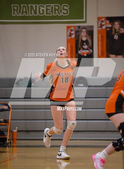 Thumbnail 2 in Molalla @ Gladstone photogallery.
