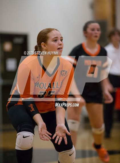 Thumbnail 2 in Molalla @ Gladstone photogallery.