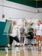 Photo from the gallery "Thousand Oaks @ Royal"