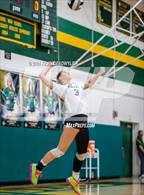 Photo from the gallery "Thousand Oaks @ Royal"