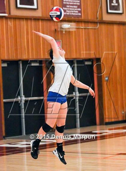 Thumbnail 1 in Carlmont vs. Los Altos (CIF CCS D1 Semifinal) photogallery.