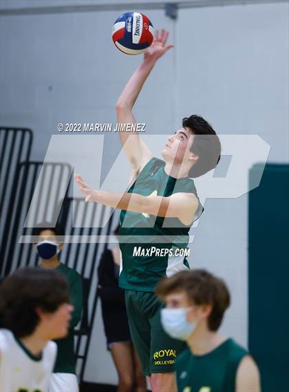 Thumbnail 1 in Royal vs Moorpark photogallery.
