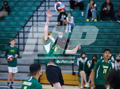 Thumbnail 2 in Royal vs Moorpark photogallery.
