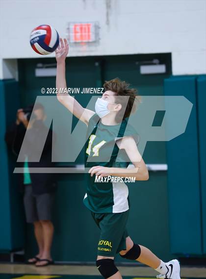 Thumbnail 3 in Royal vs Moorpark photogallery.
