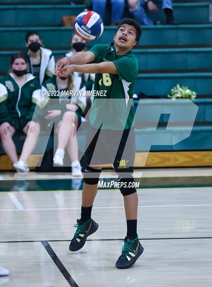 Thumbnail 3 in Royal vs Moorpark photogallery.