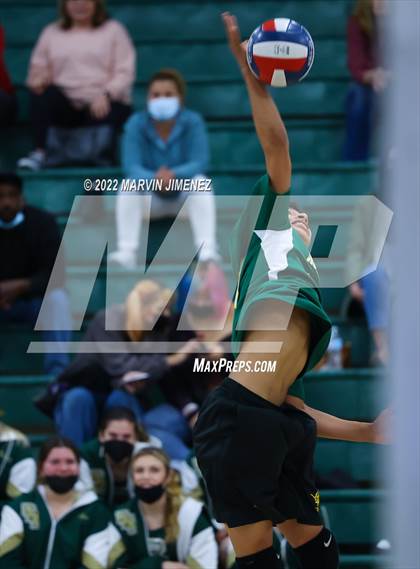 Thumbnail 1 in Royal vs Moorpark photogallery.