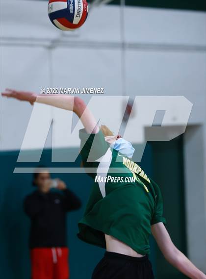 Thumbnail 1 in Royal vs Moorpark photogallery.