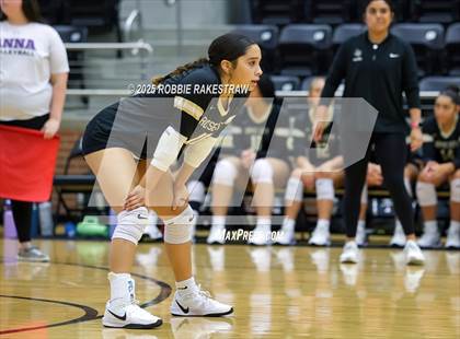 Thumbnail 3 in Anna vs Royse City (Raising Cane's Volleyball Showcase) photogallery.