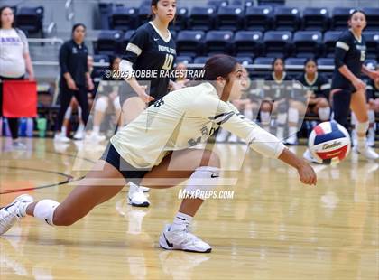 Thumbnail 2 in Anna vs Royse City (Raising Cane's Volleyball Showcase) photogallery.