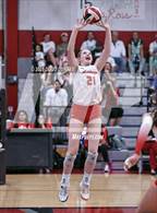 Photo from the gallery "Stratford @ Memorial"