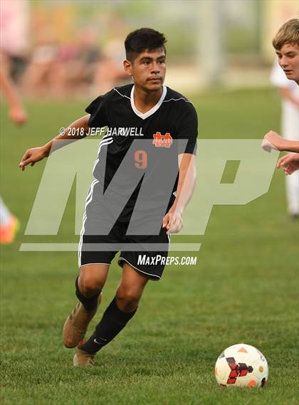Thumbnail 2 in Marlington vs. Carrollton photogallery.