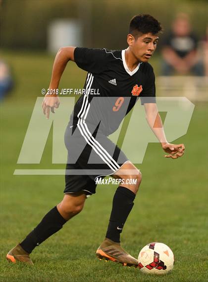 Thumbnail 1 in Marlington vs. Carrollton photogallery.