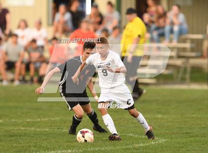 Thumbnail 2 in Marlington vs. Carrollton photogallery.