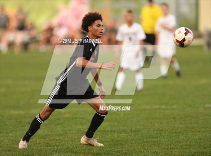 Thumbnail 2 in Marlington vs. Carrollton photogallery.