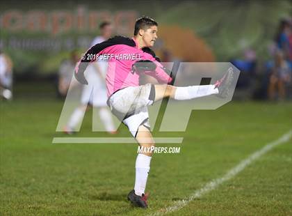 Thumbnail 1 in Marlington vs. Carrollton photogallery.