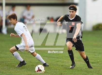 Thumbnail 2 in Marlington vs. Carrollton photogallery.