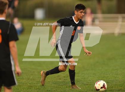 Thumbnail 2 in Marlington vs. Carrollton photogallery.