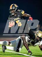 Photo from the gallery "Thomson @ Evans"