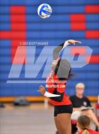 Photo from the gallery "Overton @ McGavock"