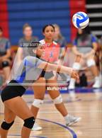 Photo from the gallery "Overton @ McGavock"