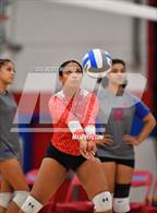 Photo from the gallery "Overton @ McGavock"