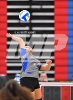 Photo from the gallery "Overton @ McGavock"