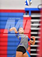 Photo from the gallery "Overton @ McGavock"