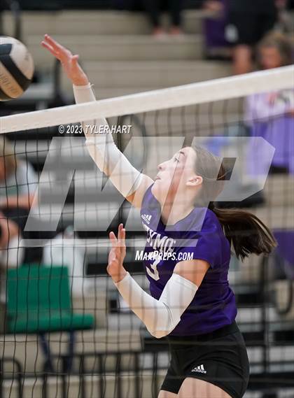 Thumbnail 1 in Seymour vs. Assumption photogallery.