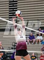 Photo from the gallery "Seymour vs. Assumption"