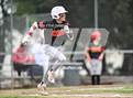Photo from the gallery "Chico @ Shasta"