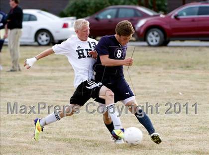 Thumbnail 2 in Jersey @ Highland photogallery.