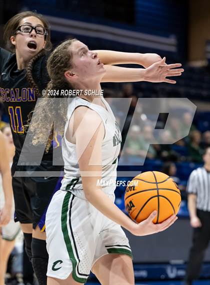 Thumbnail 3 in Colfax vs. Escalon (CIF SJS D4 Final) photogallery.