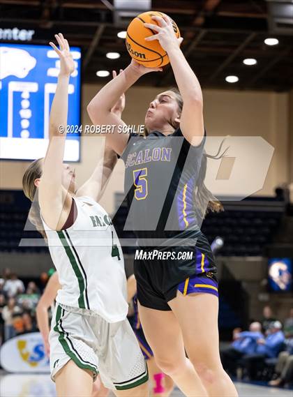 Thumbnail 2 in Colfax vs. Escalon (CIF SJS D4 Final) photogallery.