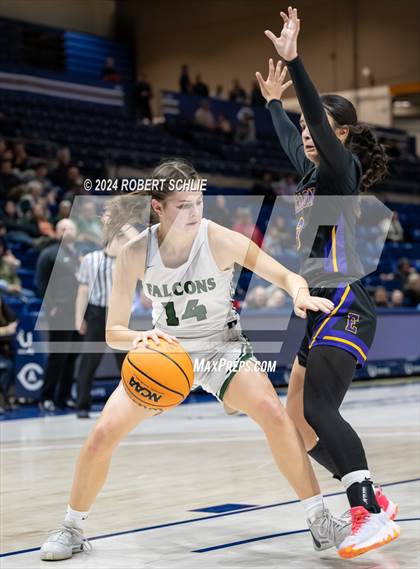 Thumbnail 1 in Colfax vs. Escalon (CIF SJS D4 Final) photogallery.