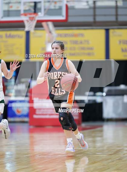 Thumbnail 2 in Waynflete vs. Forest Hills (MPA Class D Semifinal) photogallery.