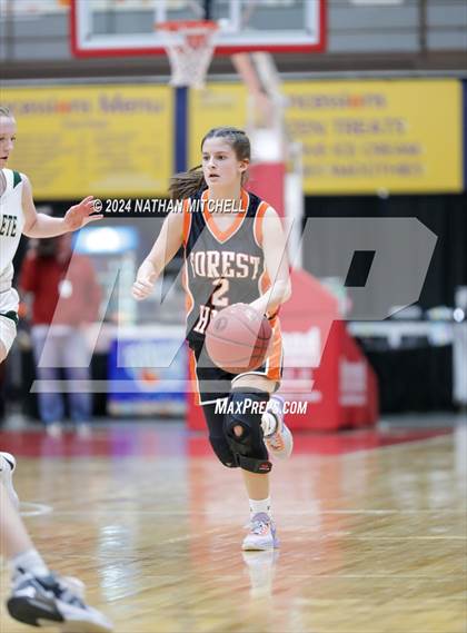 Thumbnail 1 in Waynflete vs. Forest Hills (MPA Class D Semifinal) photogallery.