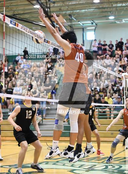 Thumbnail 2 in Cienega vs. Gilbert (AIA 5A Final) photogallery.