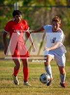 Photo from the gallery "Liberty @ Pine Creek"