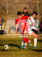 Photo from the gallery "Liberty @ Pine Creek"