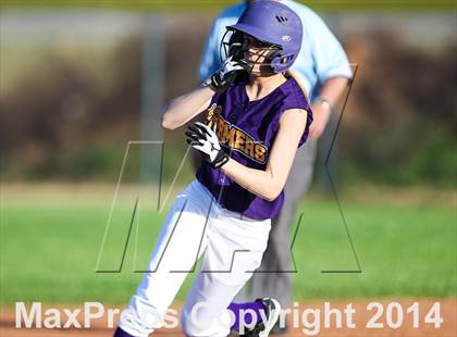Thumbnail 3 in Sunnyvale @ Farmersville photogallery.