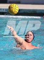 Photo from the gallery "Carlmont @ Hillsdale"