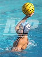Photo from the gallery "Carlmont @ Hillsdale"