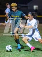 Photo from the gallery "Overhills @ Pine Forest"