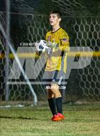 Photo from the gallery "Overhills @ Pine Forest"