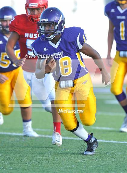 Thumbnail 1 in Hirschi @ Sanger photogallery.