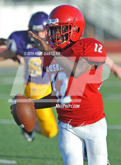 Thumbnail 1 in Hirschi @ Sanger photogallery.