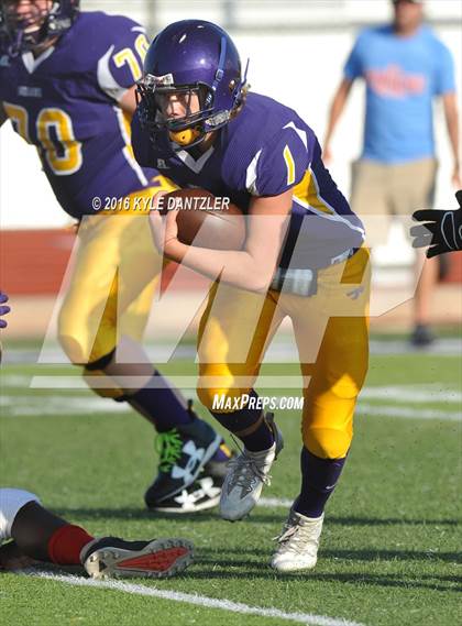 Thumbnail 3 in Hirschi @ Sanger photogallery.