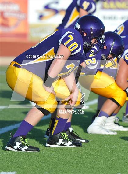 Thumbnail 1 in Hirschi @ Sanger photogallery.