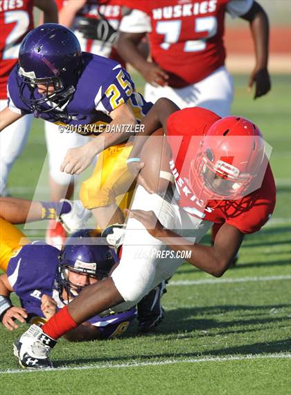 Thumbnail 2 in Hirschi @ Sanger photogallery.